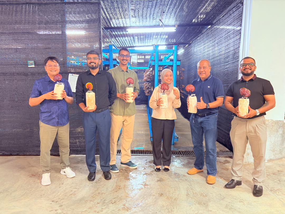 WhatsApp Image 2025-12-22 at 6.39.47 PM